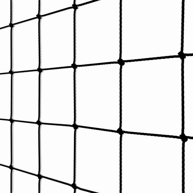 Ballfangnetz PE MW 100x100x3mm schwarz